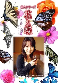 【素人シリーズ 花と蝶 Vol.995 】の一覧画像