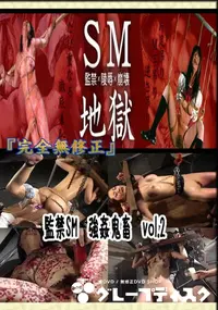 【監禁SM　強姦鬼畜　vol.2 　】の一覧画像